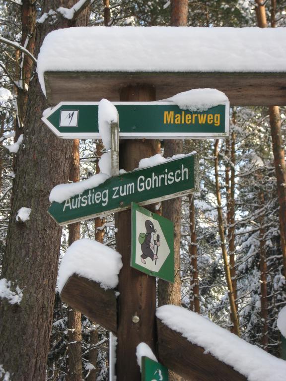 Ferienwohnung am Wäldchen Kurort Gohrisch Exterior foto