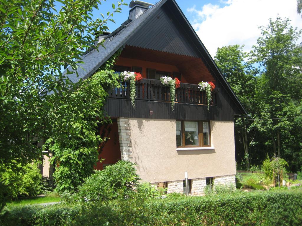 Ferienwohnung am Wäldchen Kurort Gohrisch Exterior foto